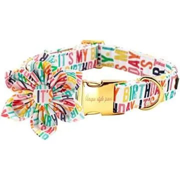 Cutest Ever Dog Collars & More