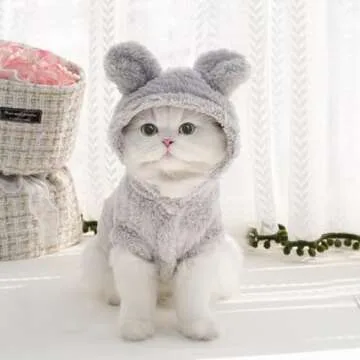 Cute cat clothes