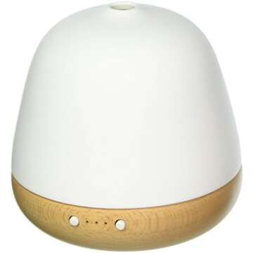 Home Decor Favorites