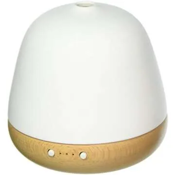 Home Decor Favorites