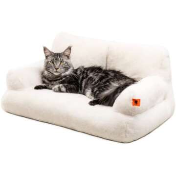 Best Cat Food, Treats, & More