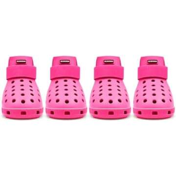 Walkies & Adventure Kitty