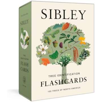 Outdoor morning basket