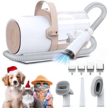 Dog Favorites