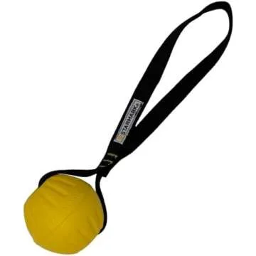 Favorite Dog Training and Care Products!