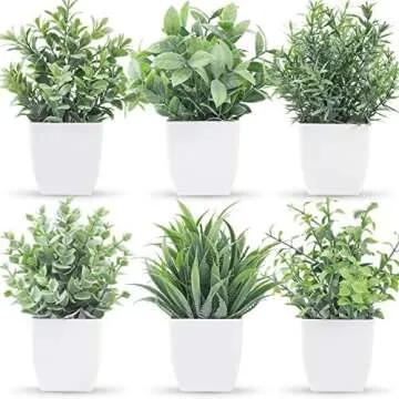 Artifical plants I have