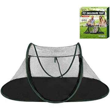 Little Critters - Reptiles