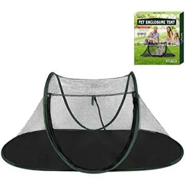 Little Critters - Reptiles