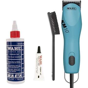 Horse Clipping Basics