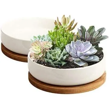 Christmas 2020 Wishlist