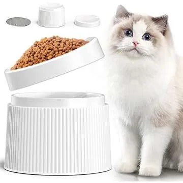 cat water and food bowls