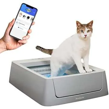 Litter Box Essentials for Cats