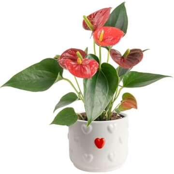 EDENMAKER'S PICKS: PLANTS, FLOWERS & SEEDS