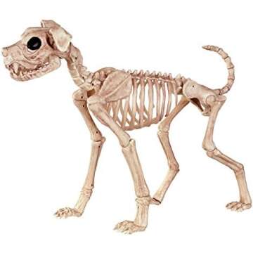 Braving the Boneyard