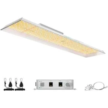 Grow Tents and Lighting