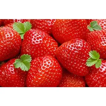 Bare Root And Live Plants