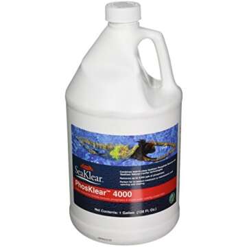 Best Phosphate Remover for Pools