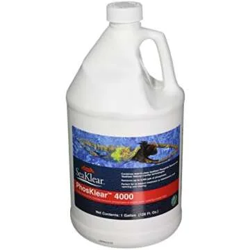 Best Phosphate Remover for Pools