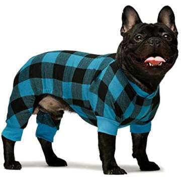 Dog Clothes & Collars