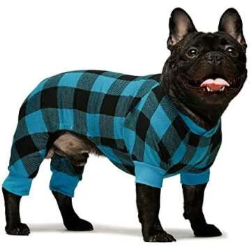 Dog Clothes & Collars