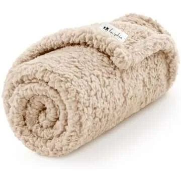 Favorites for your dog 🐶