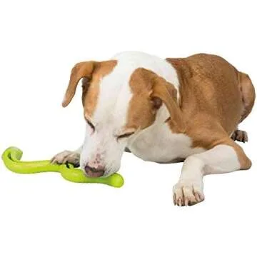 Stuffable Chew & Puzzle Toys