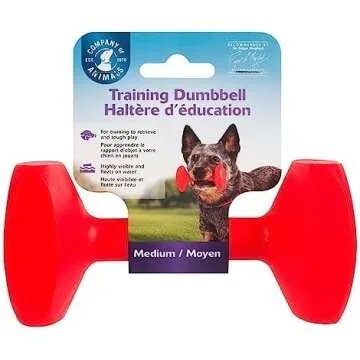 Trick Training, Agility & Canine Fitness