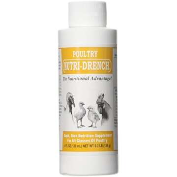 Bringing home your chicks!