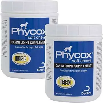 Joint Supplements for Dogs and Puppies