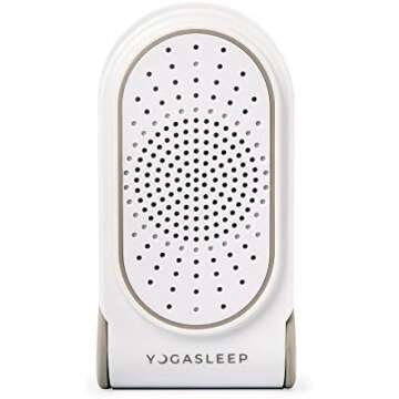 My Favorite Household Items