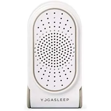 My Favorite Household Items