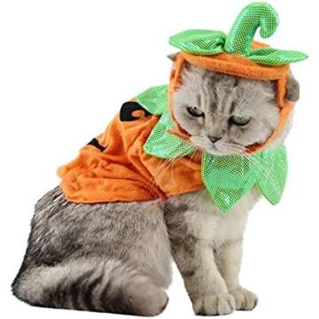 Cat Costumes