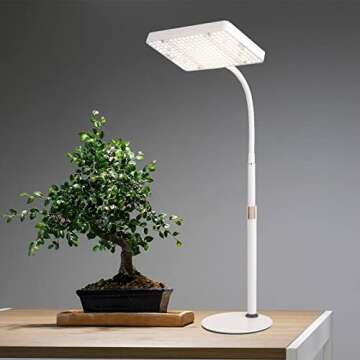 Artificial Lighting for Plants and Terrariums