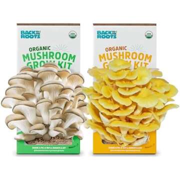 Nutrition + Supplements