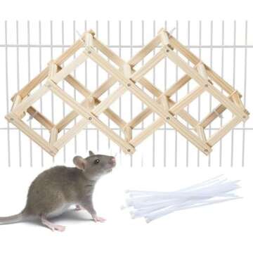 Accessories / Bottles / Bowls