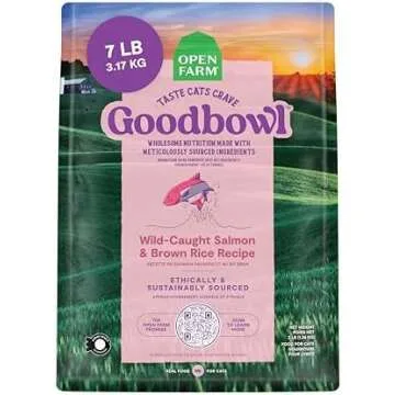 Favorite cat products