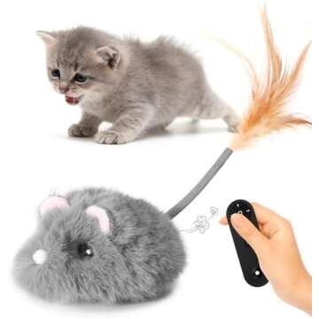 Automatic Cat Toys