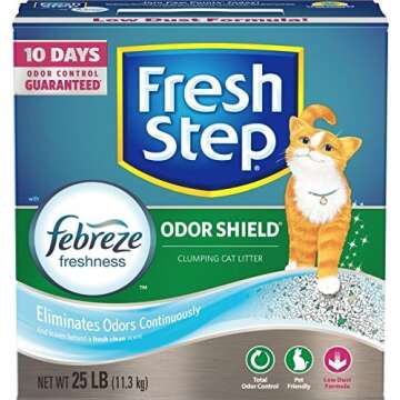 Think Inside the Box