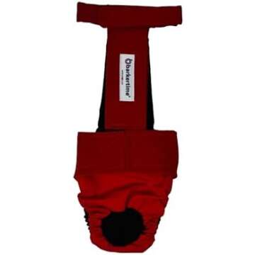 Dog Diapers & Products to Keep Your Incontinent Dog Dry