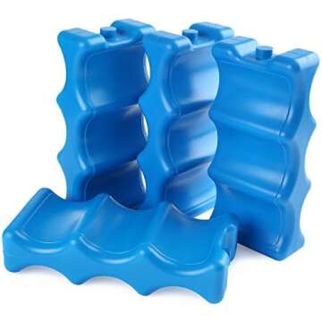 Bathing Suits and Beachwear