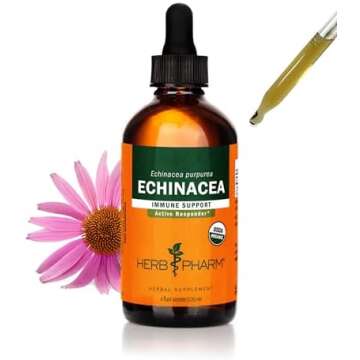 Natural Medicine Cabinet Favorites