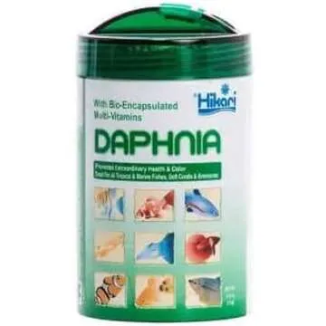 Betta Fish Food & Meds