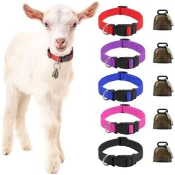 GOATS SUPPLIES