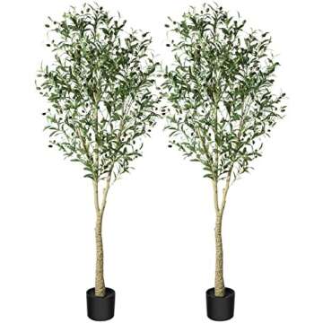 Prime Day Deal: Home Decor