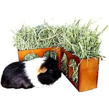 Guinea Pig Housing