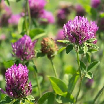 Prime Day Deals 2023