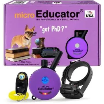 Pet Supply Favorites