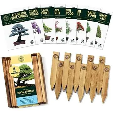 Shop My Favorite Spring Ideas