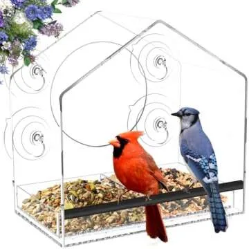 Gift Guide - In Laws