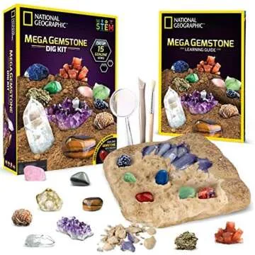 Kinetic Sand & Dig Kits